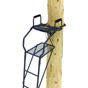 Bowman Ladder Hunting Stand
