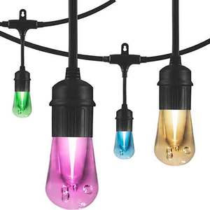Vintage Seasons LED Cafe Lights 48-Feet