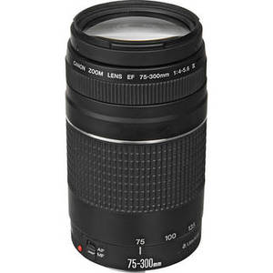 EF 75-300mm f/4-5.6 III Lens