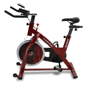 Bladez Fitness Fusion GS II Indoor Bike