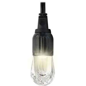 Enbrighten LED Cafe Lights 12 Bulbs - 24Ft