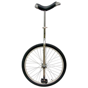 Uno 24" Unicycle (Silver)