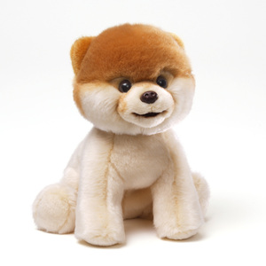 Boo The World's Cutest Dog