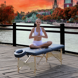 Master Massage 28" Skyline Portable Massage Package in Royal Blue