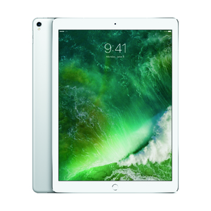 12.9" iPad Pro Wifi 256GB Silver