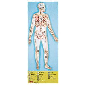 Melissa & Doug Human Body Floor (100 pc)