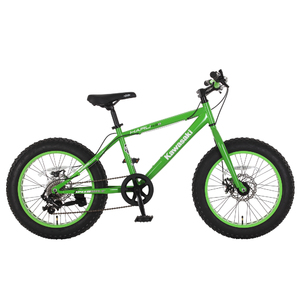 Kawasaki™ Haru Fat Tire Bike, 20x4 inch wheels, Green