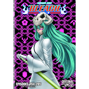 Bleach Box Set 13
