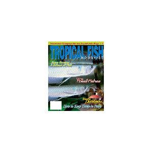 Tropical Fish Hobbyist - 6 Issues - 1 Year