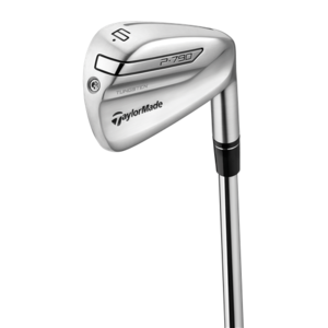TaylorMade P790 Graphite Irons