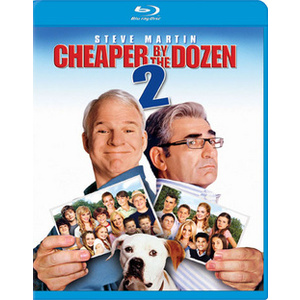 Cheaper by the Dozen 2
