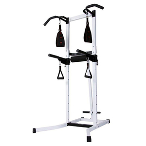 Body Champ Multi-Functional Power Tower