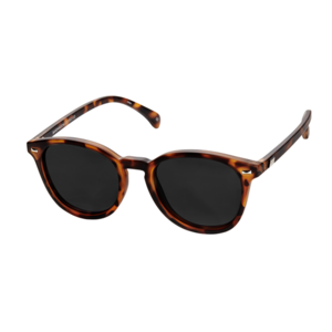 Le Specs Polarized Bandwagon Sunglasses